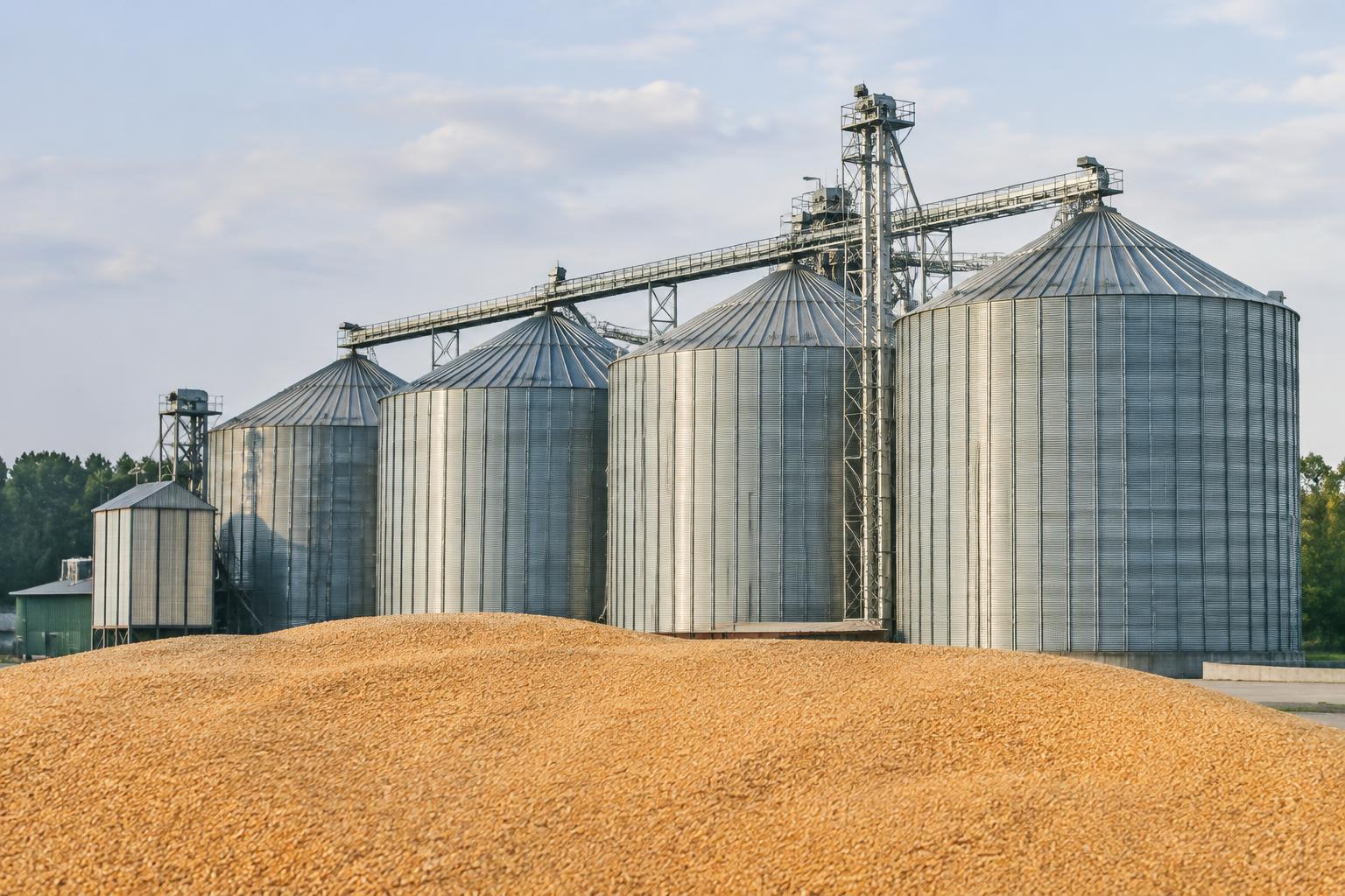 Representative AI-generated agricultural grain silos and bulk grain storage scene